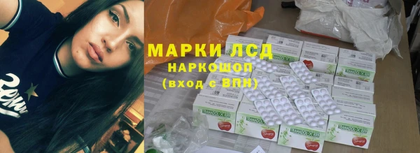прущие грибы Вязники