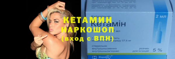 прущие грибы Вязники