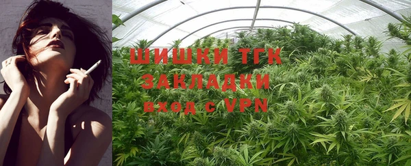 гидра Верея