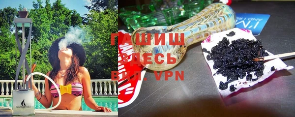 прущие грибы Вязники