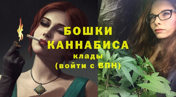 прущие грибы Вязники