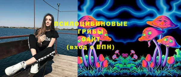 прущие грибы Вязники