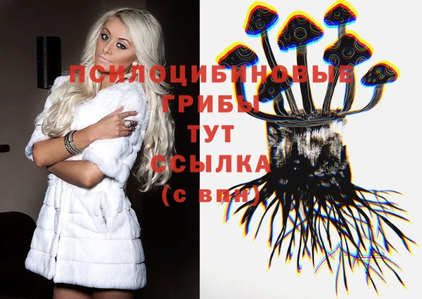 прущие грибы Вязники
