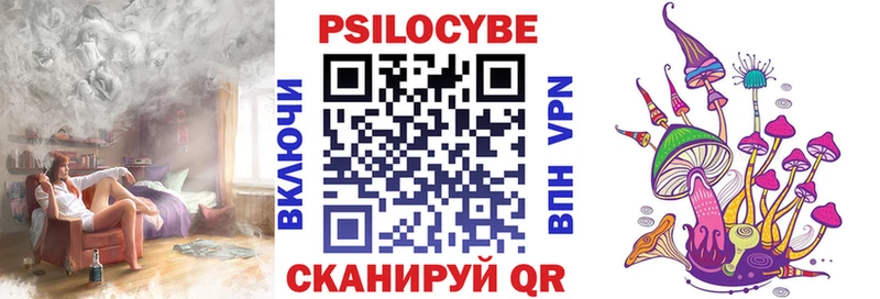 Псилоцибиновые грибы Psilocybe  Буинск 