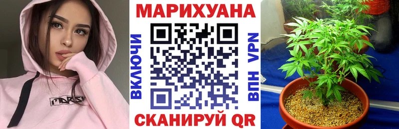 Шишки марихуана семена  купить наркотики цена  Буинск 